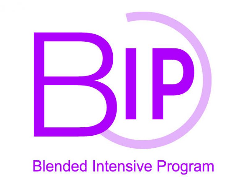 Blended Intensive Programme 