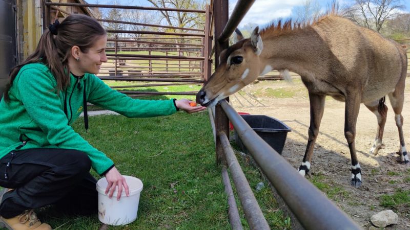 Stručna praksa u Zoološkom vrtu Bratislava