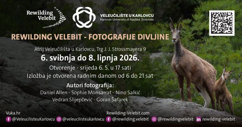 Rewilding Velebit – fotografije divljine